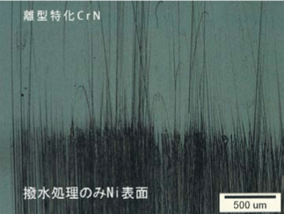 CrN コーティング耐久性テスト