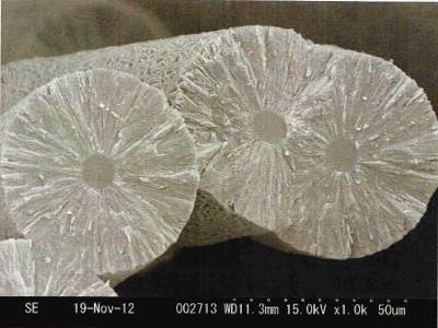 CVD SiC コーティング済みフェルトSEM写真2